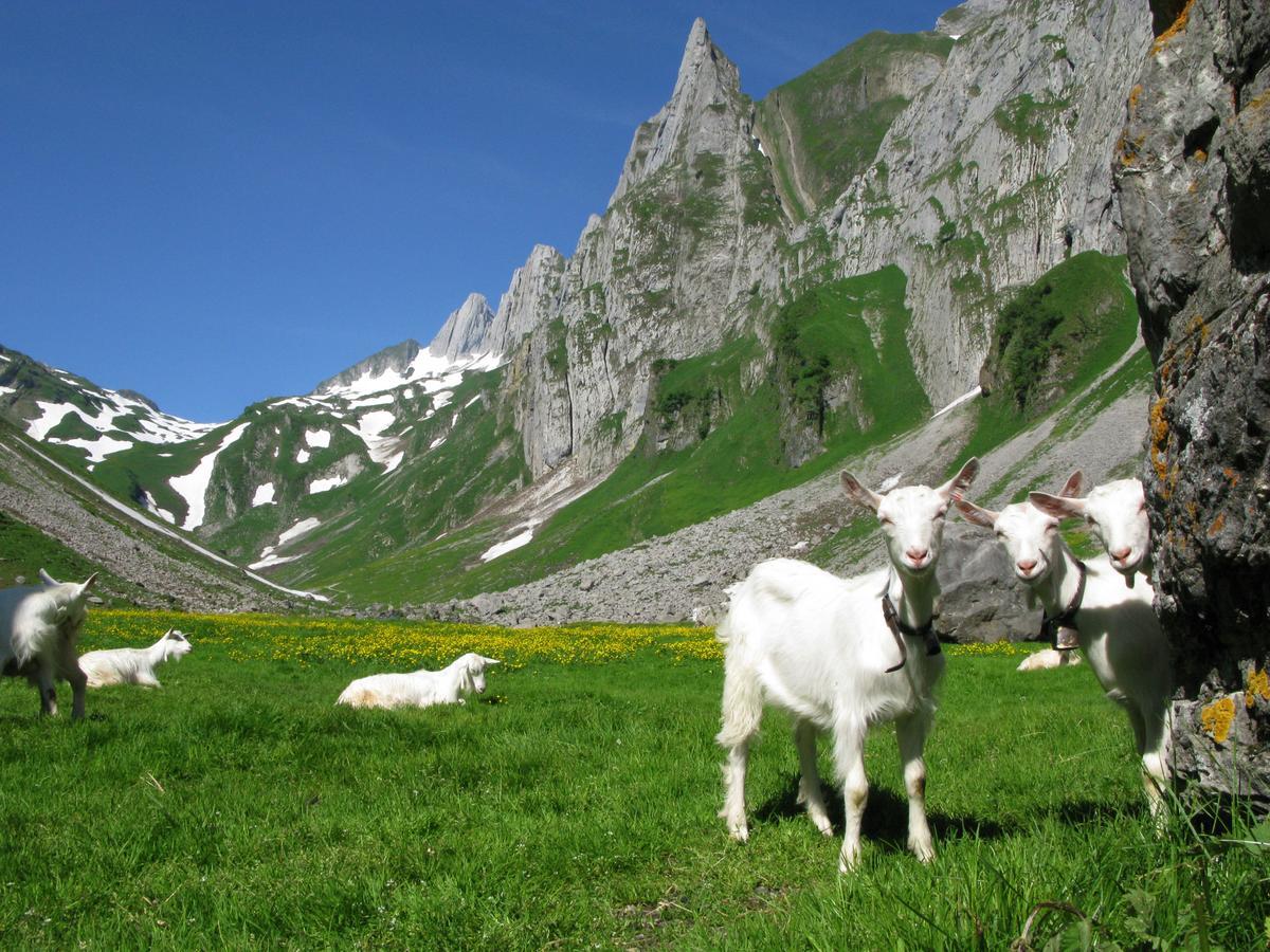 Hotel Landhaus Saentis Herisau Luaran gambar